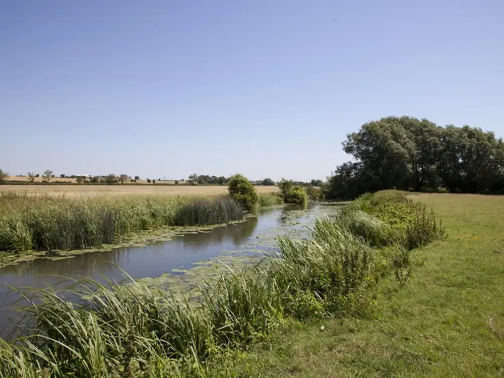 Abbey Farm Glamping & Cottage