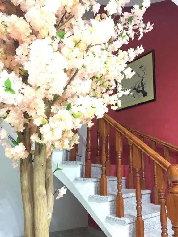 Wuyuan Meihua Hotel