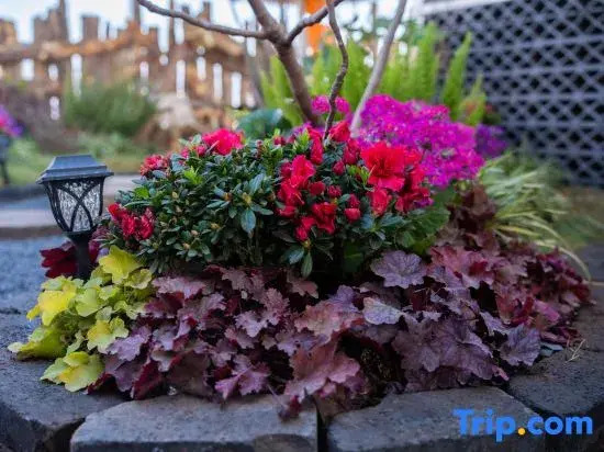 Jiujiu · Ancient City | Hanging Garden B&B (the Old Town of Lijiang Store)