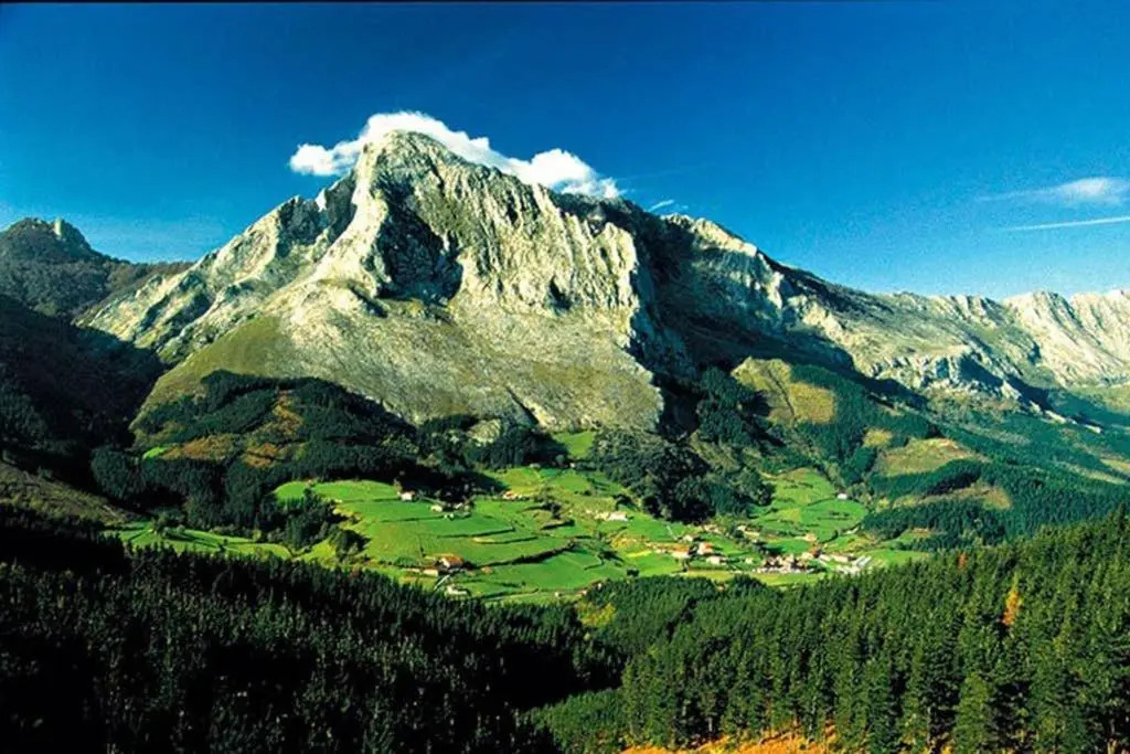 Sare Enea