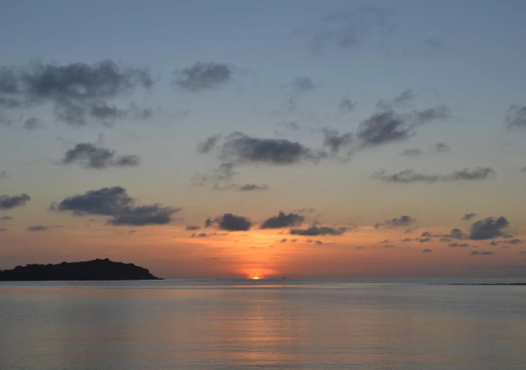 Palm Island Hotel
