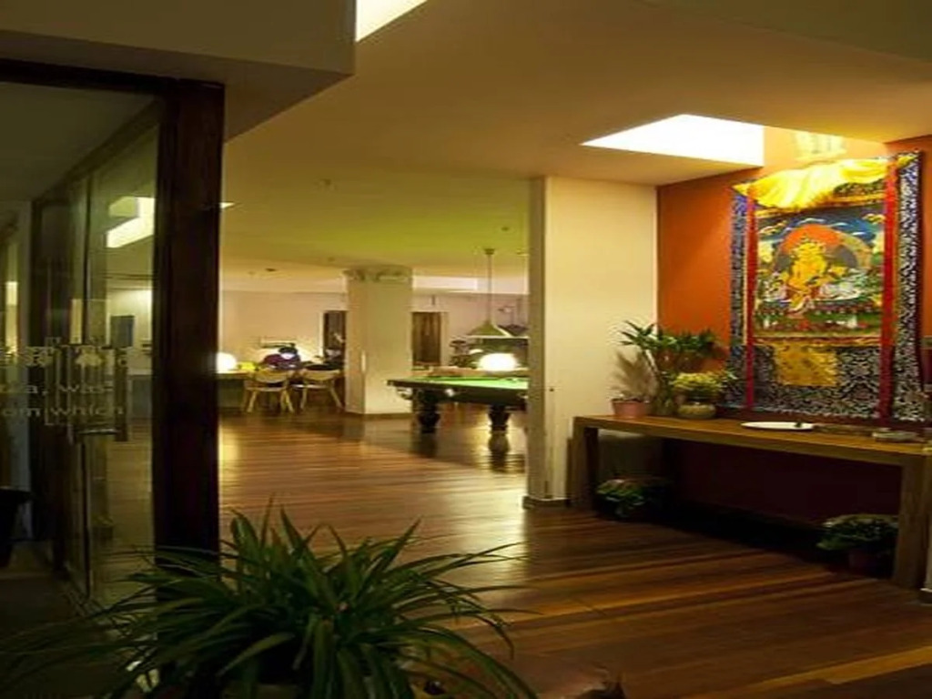 Shanghai Rock & Wood International Youth Hostel