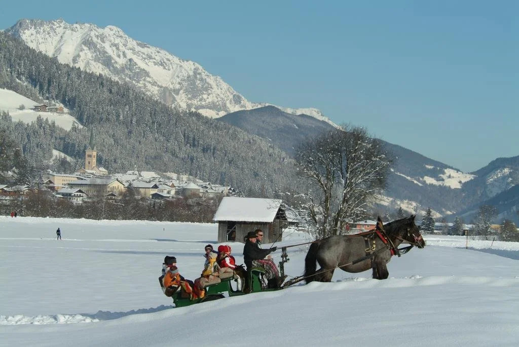 Alpen Chalet Eben