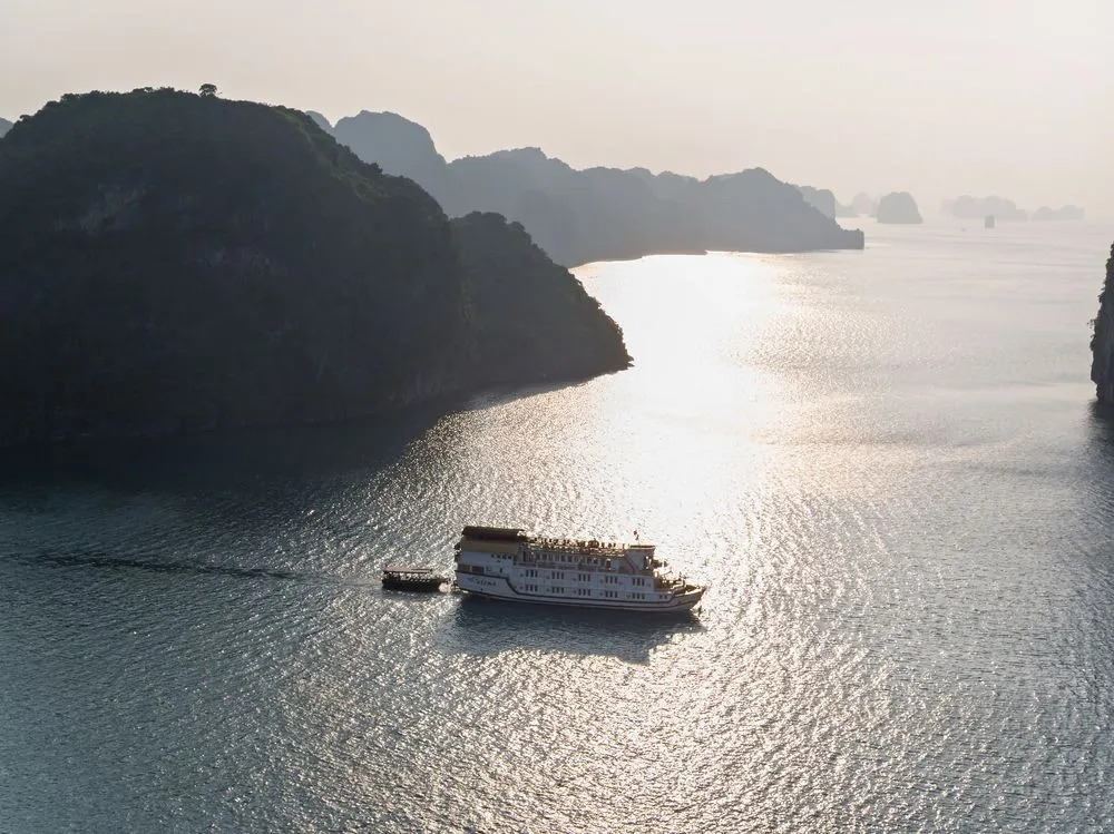 Paloma Cruise