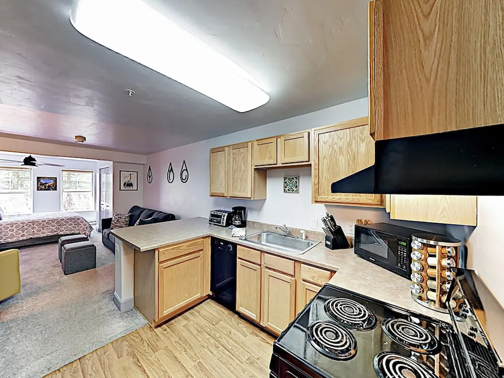 New Listing! Renovated Studio W/ On-site Gondola Studio Bedroom Condo