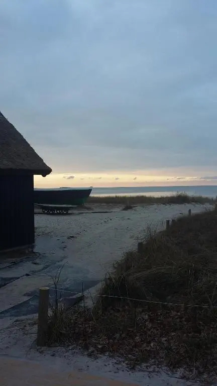 *Strandaster* in Zingst - 100 m bis Strand, ruhig, zentral.
