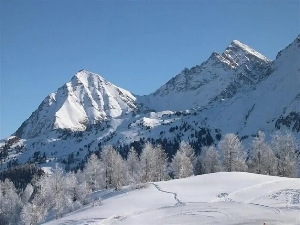 Dujany