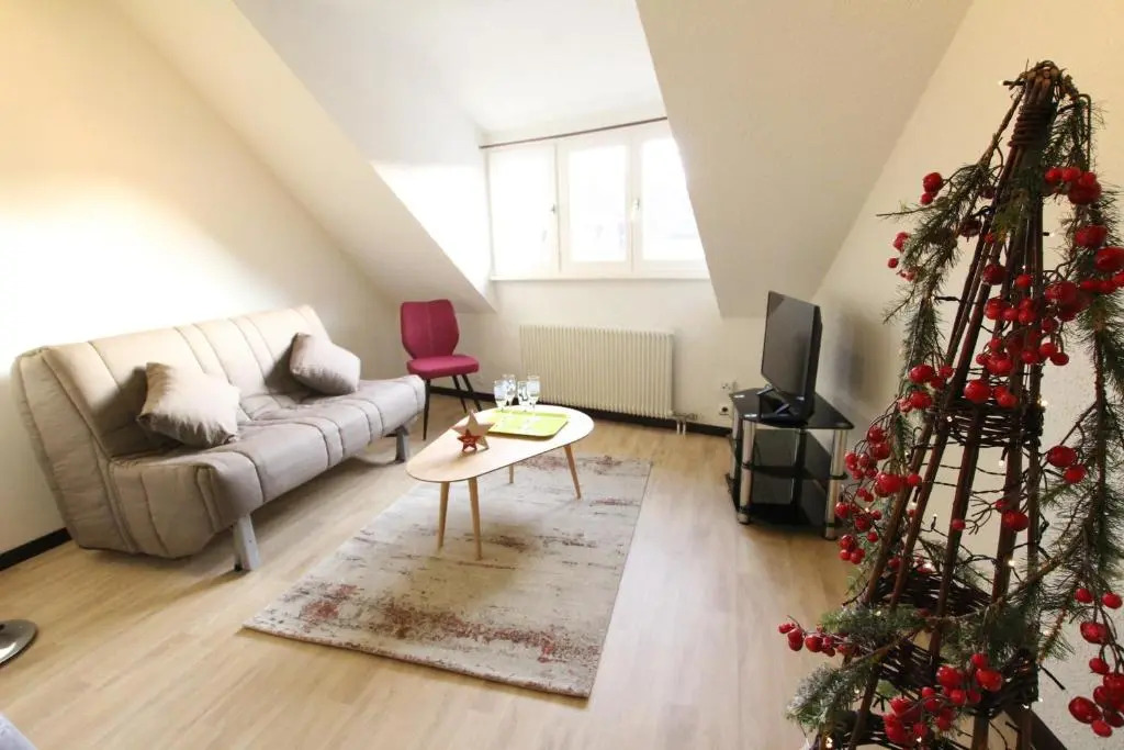 Colmar Historic Center - Cosy Appartement TURENNE 2 - BookingAlsace