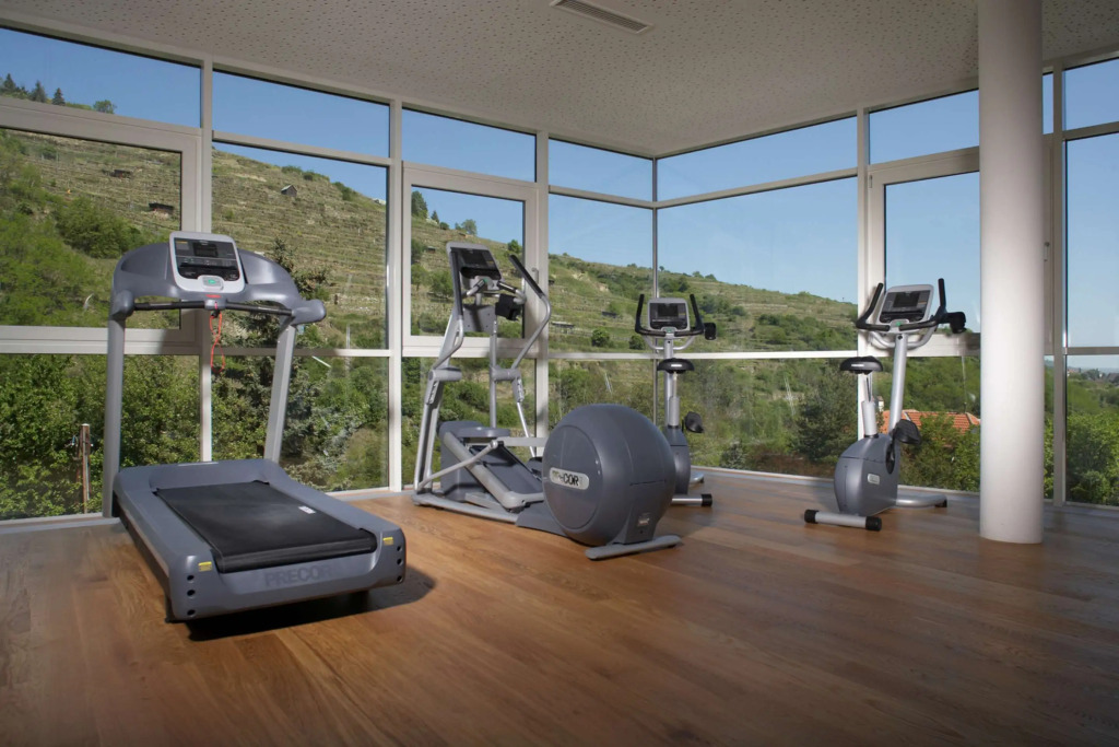 Steigenberger Hotel & Spa Krems