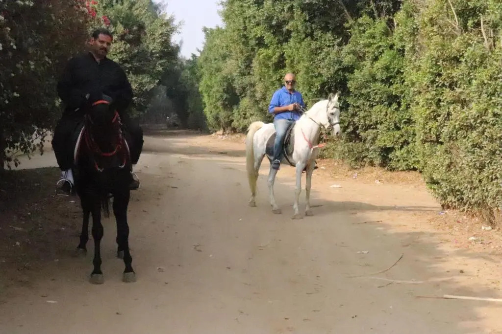 The Farm - Hotel & Horse Riding