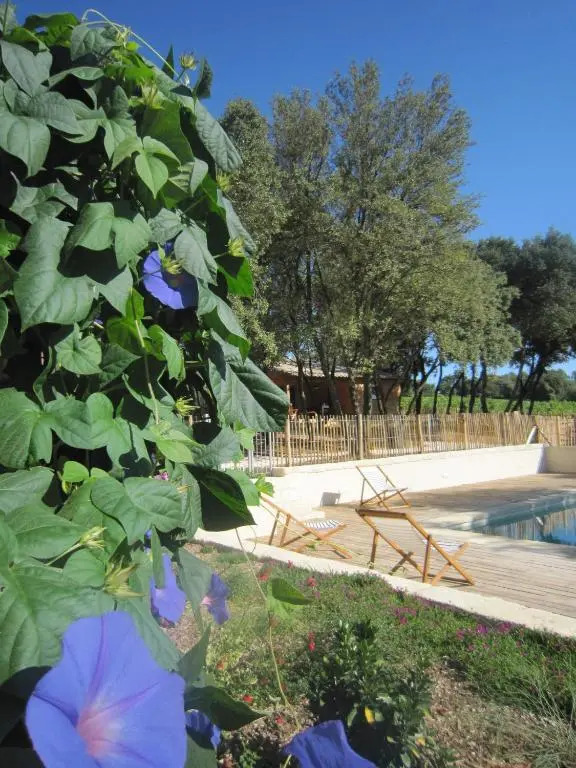 Gîtes "Les Cabanes de Carelle" entre Camargue et Cévennes