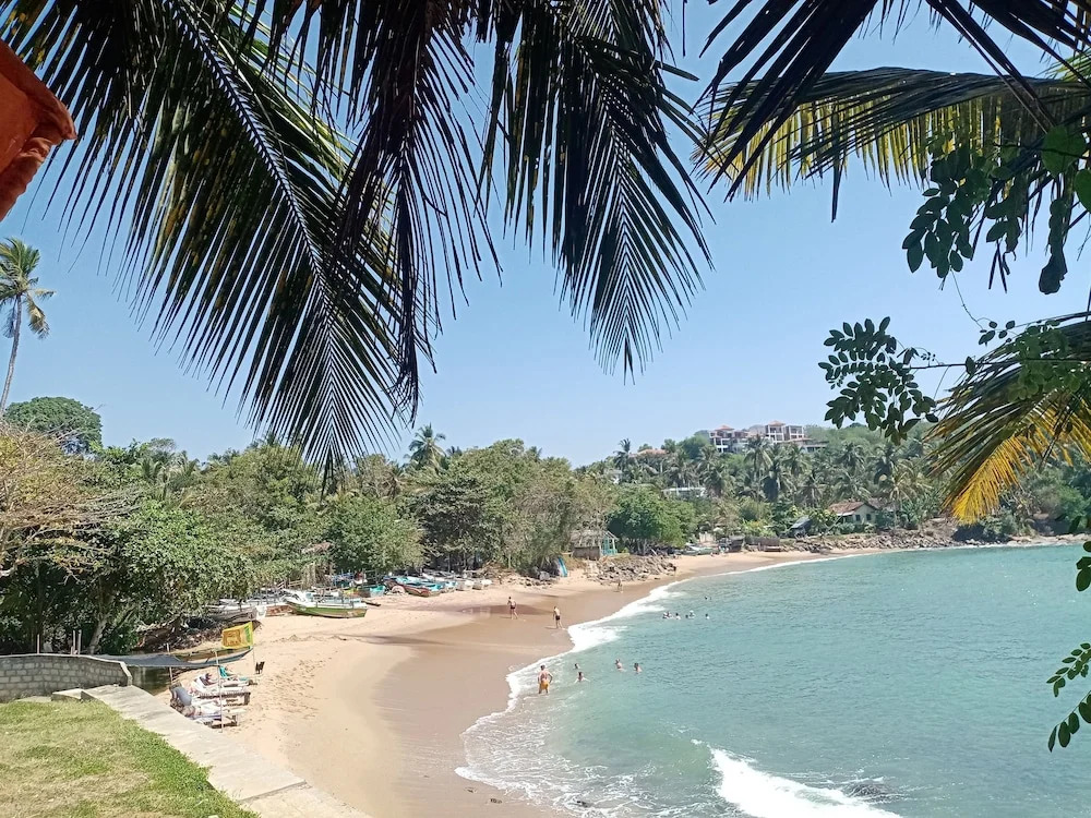 Surf Paradise