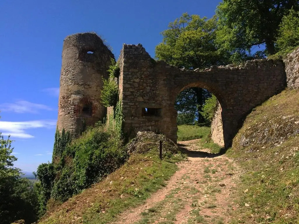 La Maison des Vendangeurs