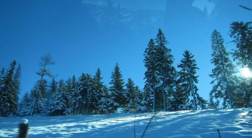 Hotel Rainsberghof