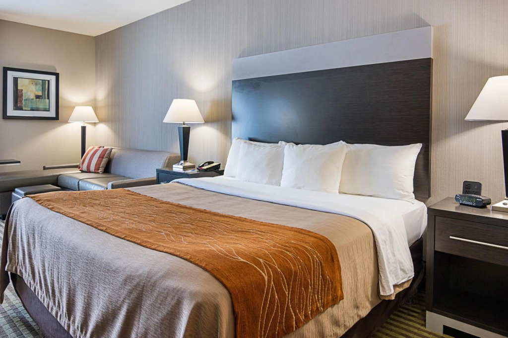 Comfort Inn Camden