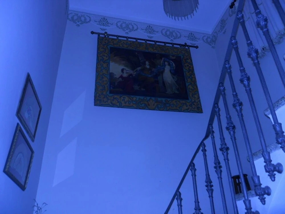 Hotel 1900 Casa Anita