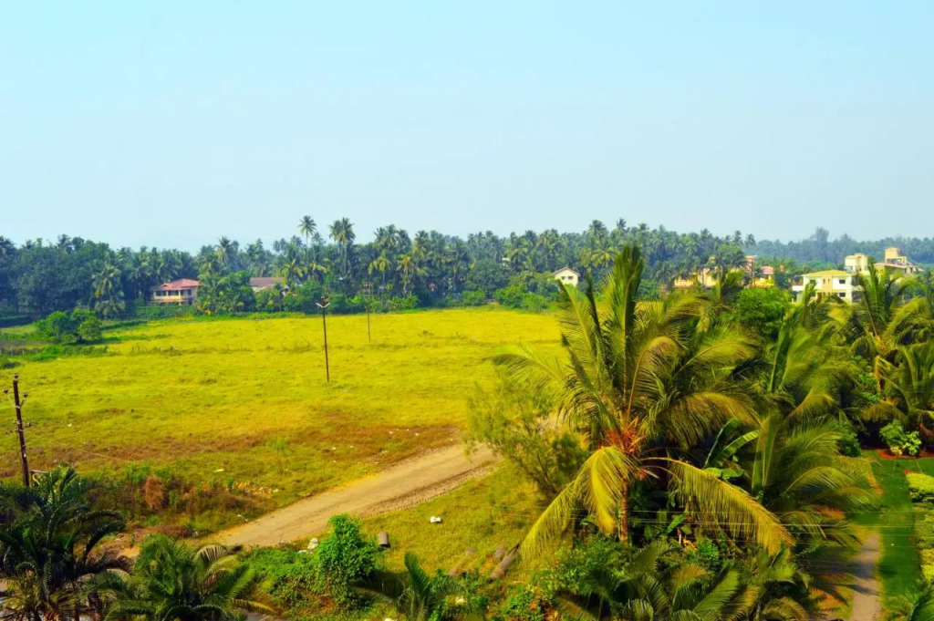 Nilaya Nest Away