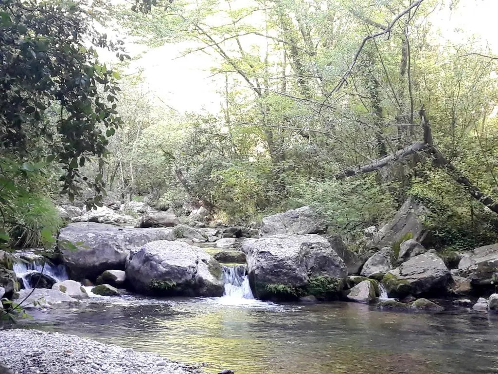 Holidays in Provence Alpes Maritimes