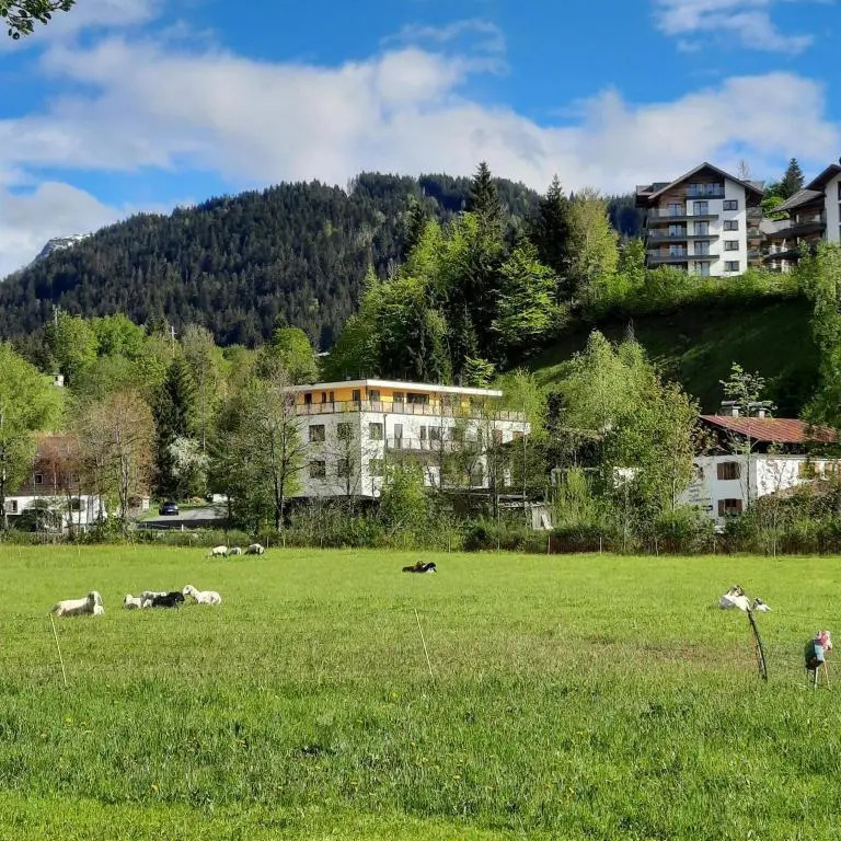 Boutique-Apartments Familie Jarosch Fieberbrunn "Freier Eintritt in das örtliche Hallenbad inklusive Saunalandschaft oder zum Badesee"