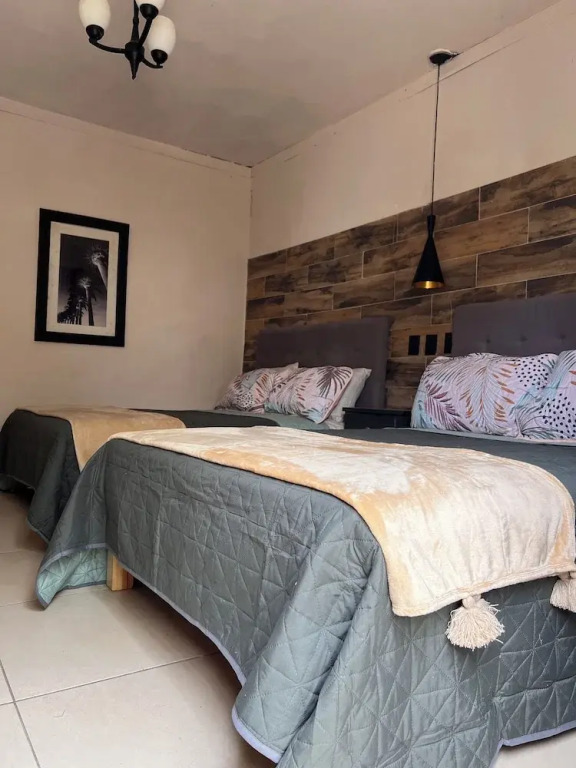 The Black Tree Hotel Boutique