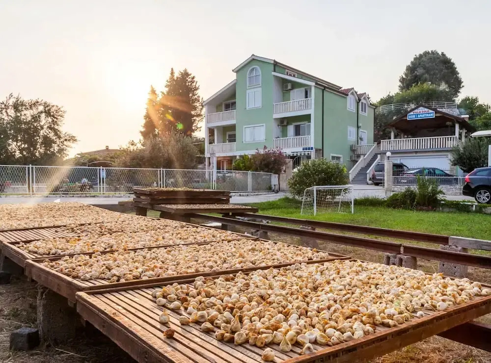 Villa Šolo - Peaceful Nature Park Getaway