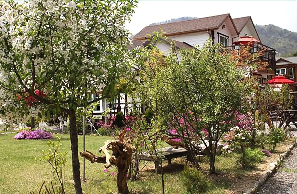 Wongju Pine Pension