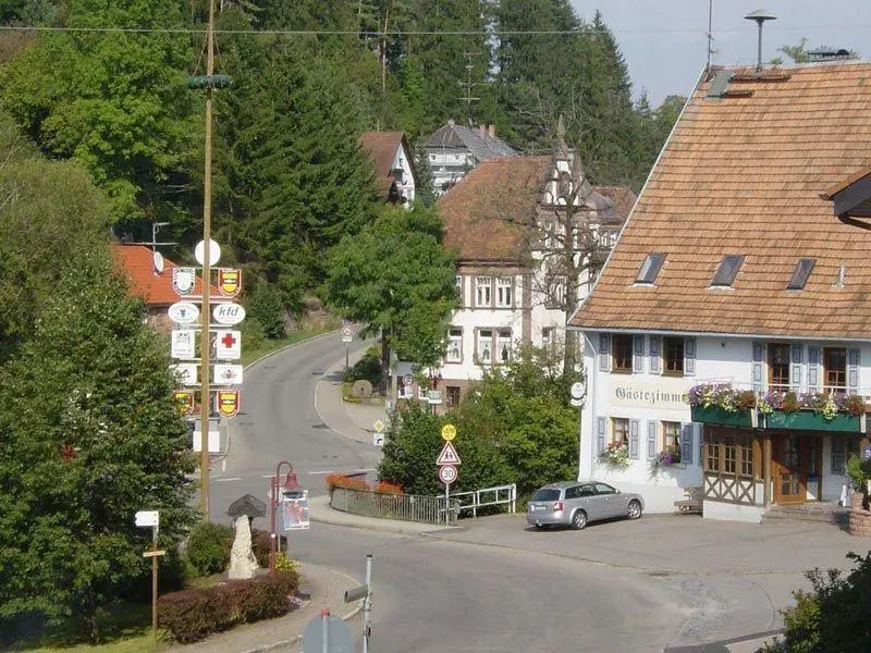 Ferienwohnung Vogelsang