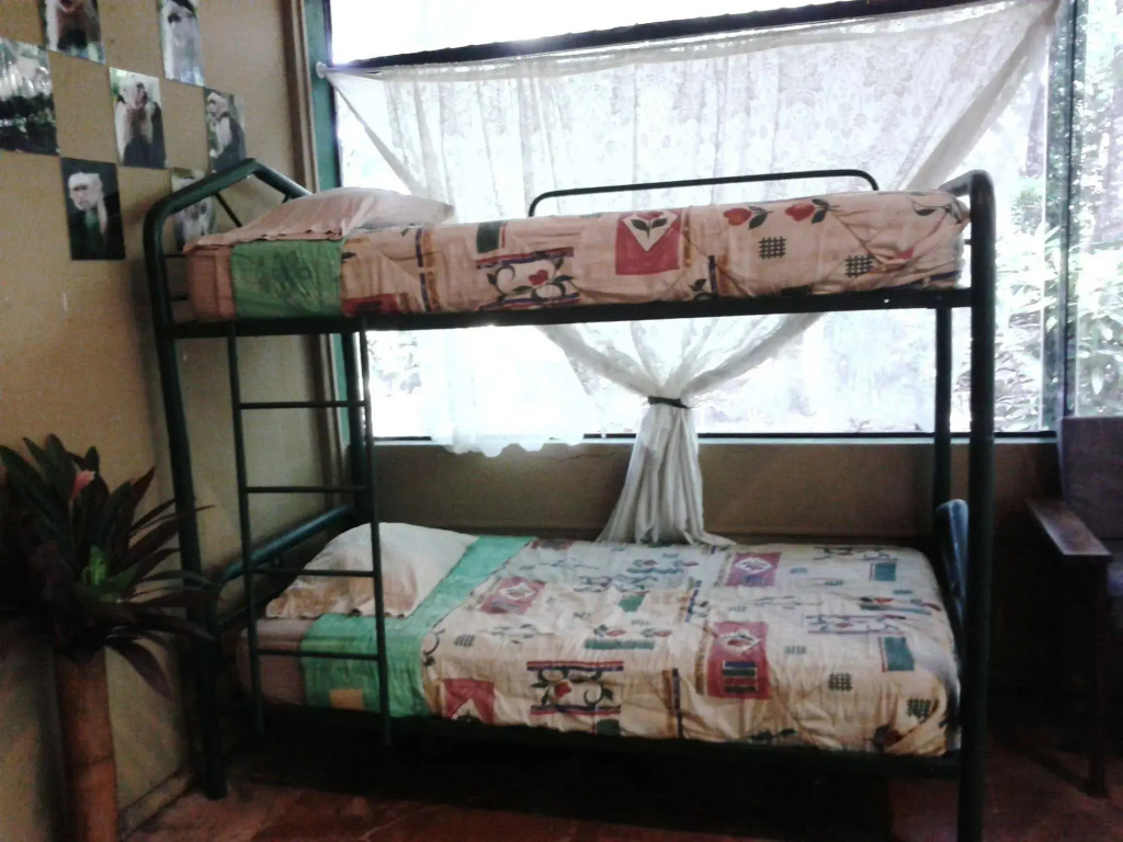 Chosa Manglar Suites & Cabins