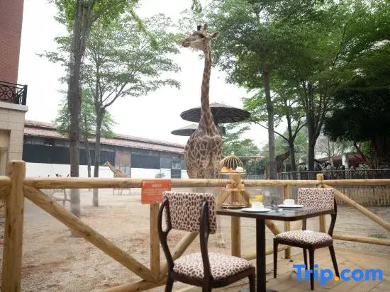 Xiamen Lingling Giraffe Manor Hotel