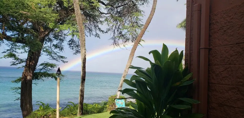 Kuleana Club - 619