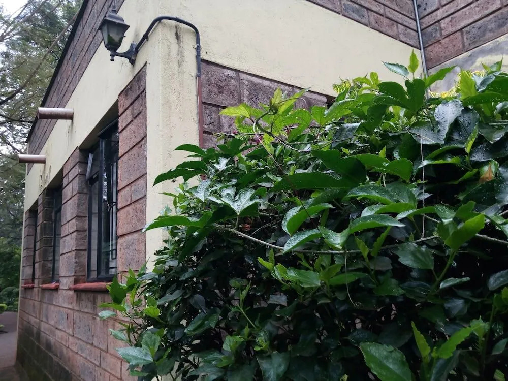 Milimani Backpackers