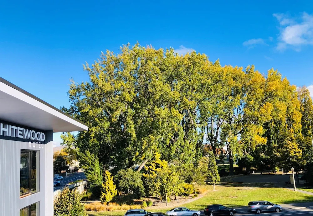 Whitewood Suites Inner City Luxury Apartments