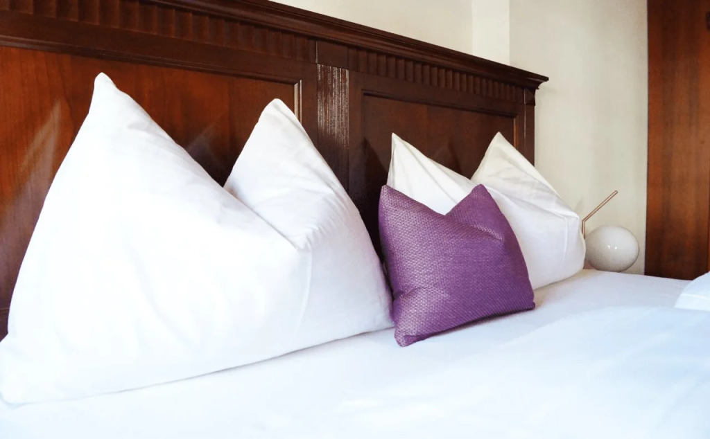 Premium Residences Rauris incl Sommercard