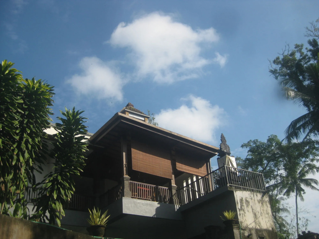 Villa Sonia Bisma