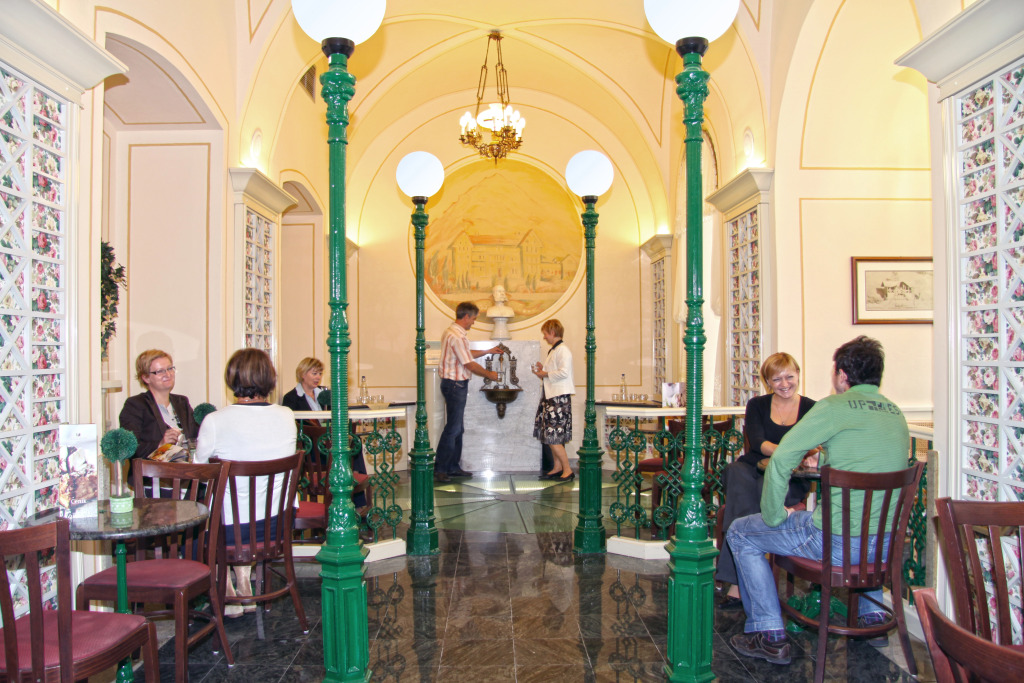Hotel Zdravilisce - Thermana Lasko
