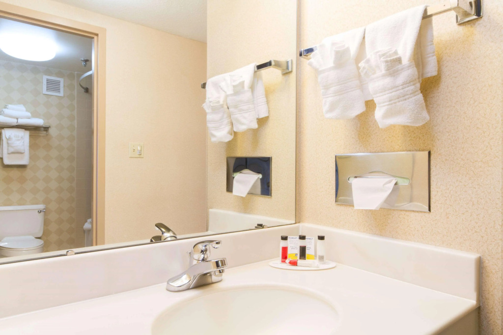Comfort Inn & Suites Buffalo Airport