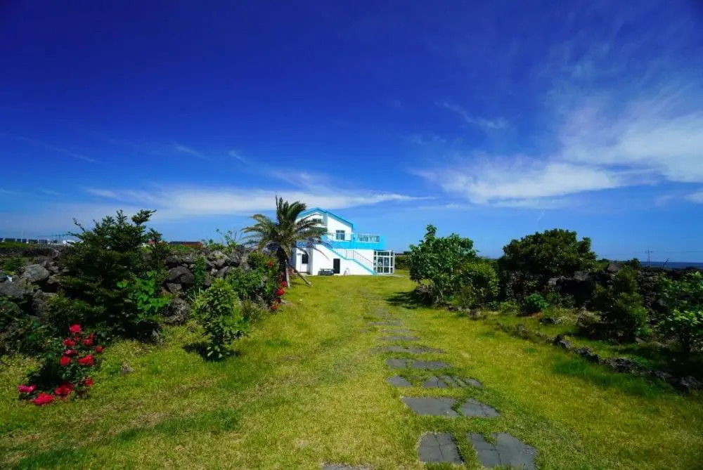 Amor House
