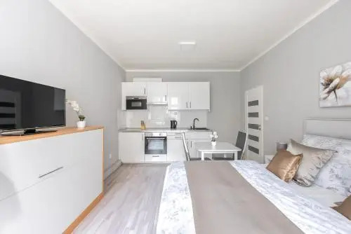 City apartment Slezská