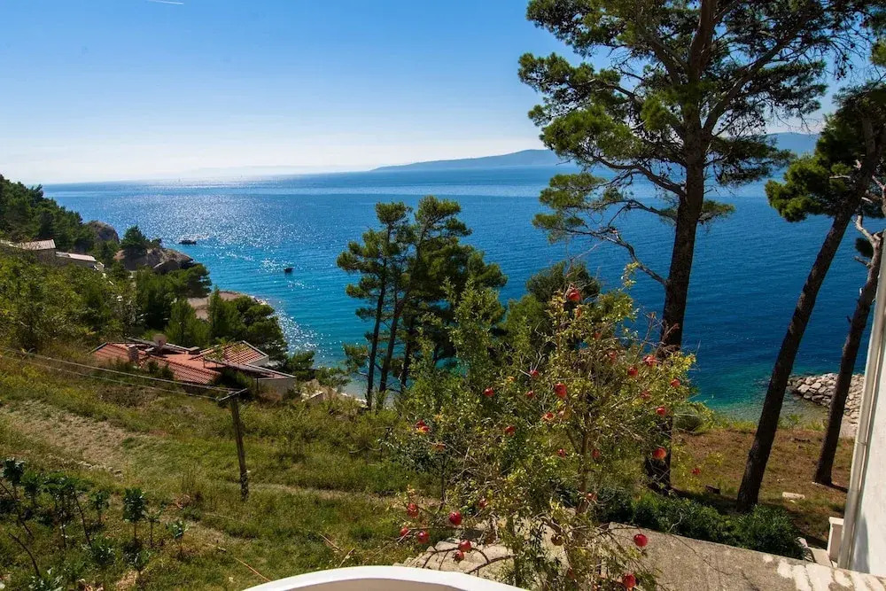 Anka - Amazing Location - A8