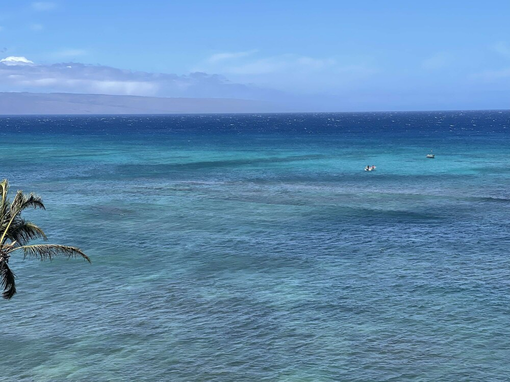 Unforgettable Oceanfront Stay Nature Luxury Tranquility