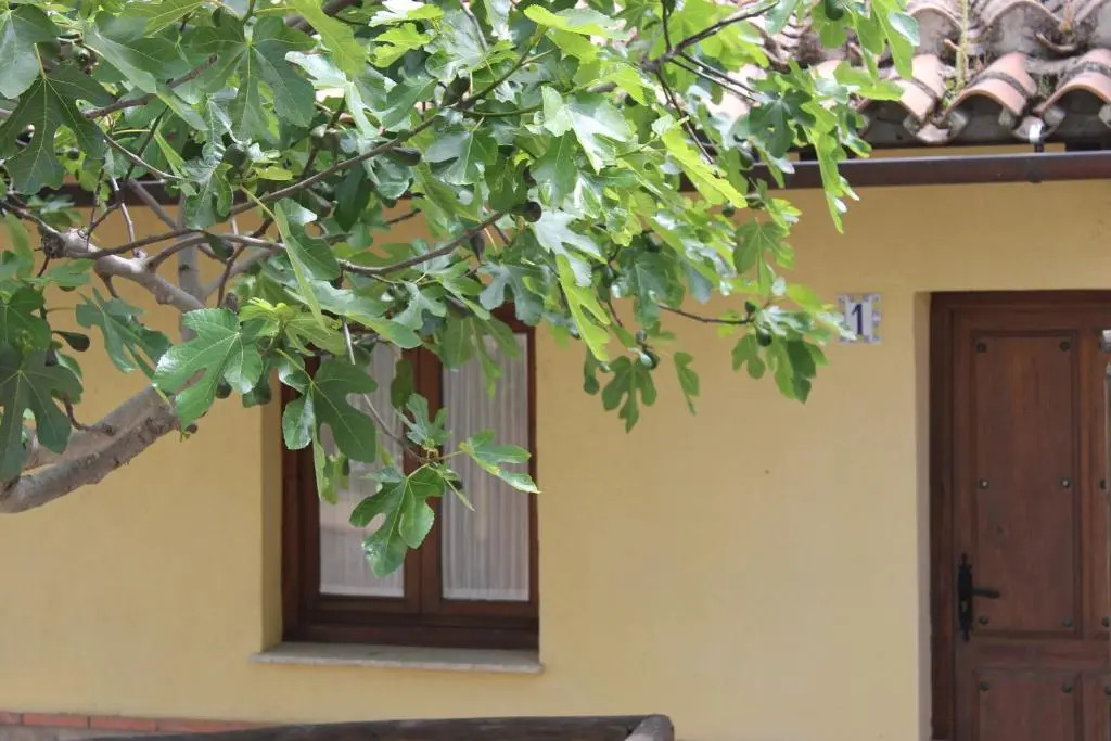 Hosteria La Higuera H-CC-798