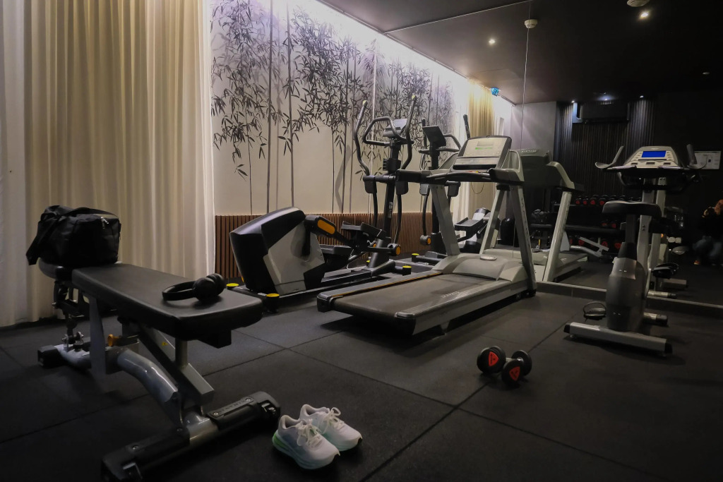 Best Western Plus Hôtel & Spa de Chassieu