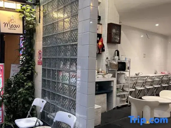 Meow Hotel & Cafe 3