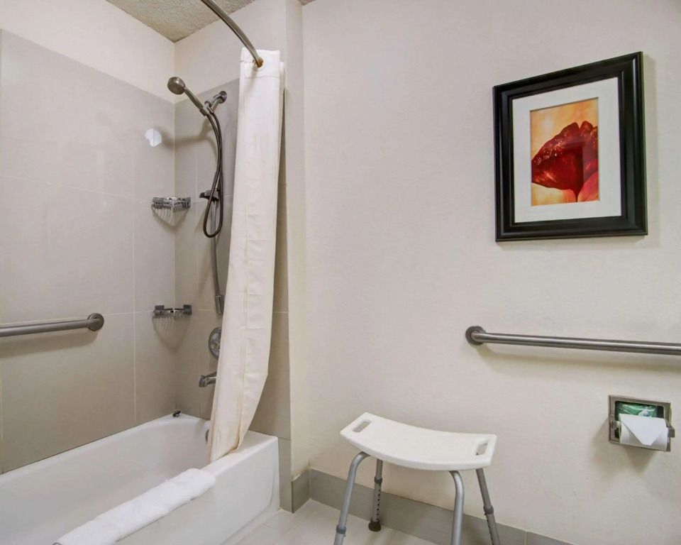 Comfort Suites Northside Hospital Gwinnett