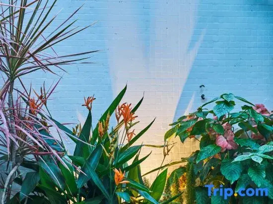 Liyuan · Bayside Bieyuan Boutique Humanities Homestay