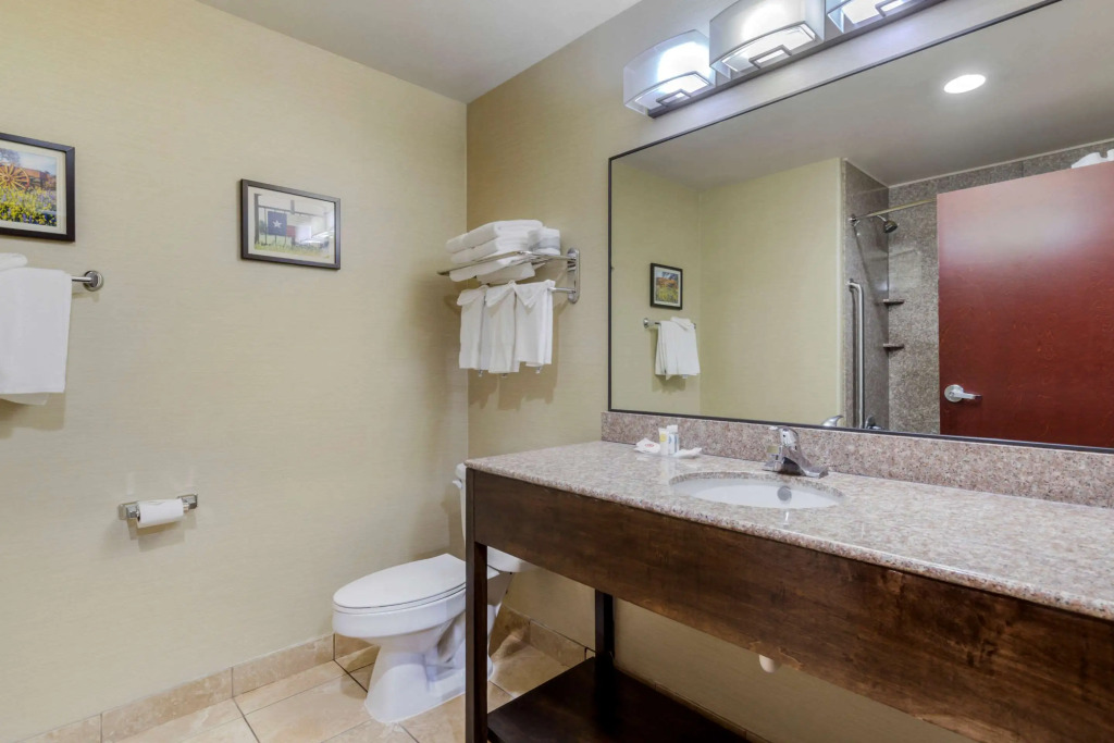 Comfort Suites Pflugerville - Austin North