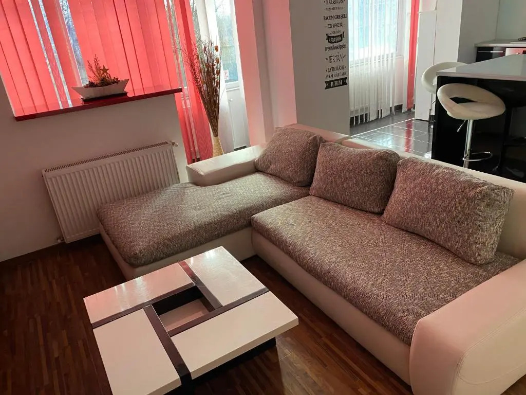Cosmin Apartament Sondelor 4