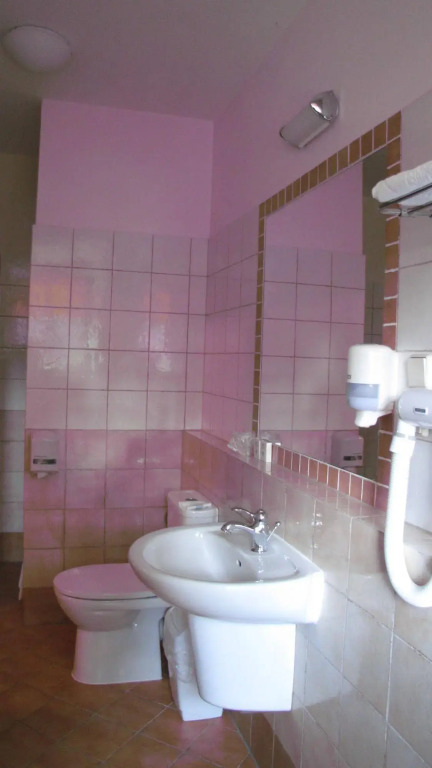 Zamek Kliczków