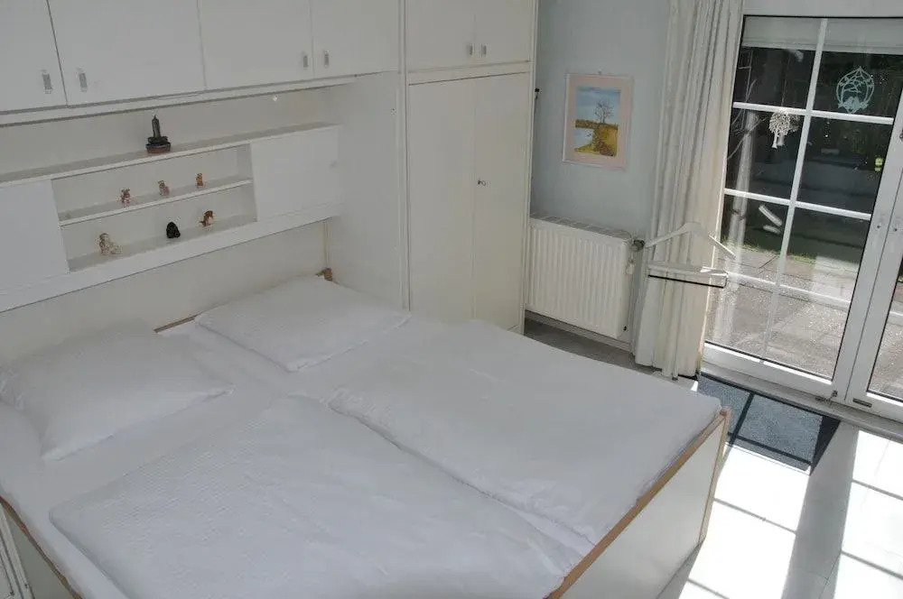 Friesenhaus-Maren-Strandflieder