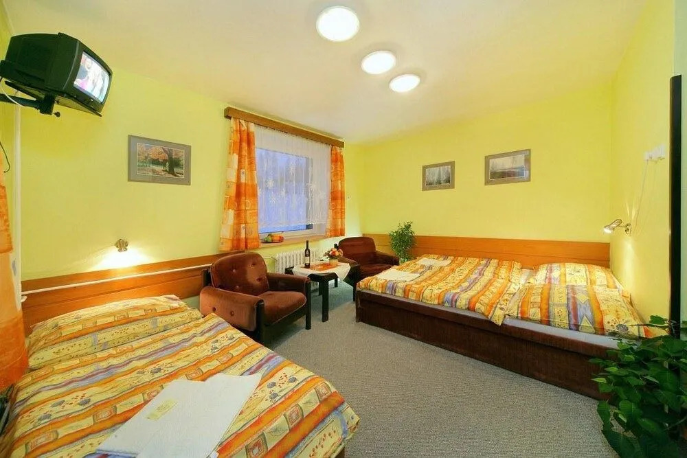 Hotel Stary Mlyn
